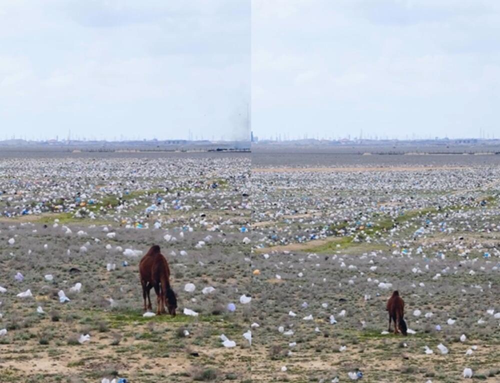 Заваленную пластиковыми отходами степь заснял на видео экоактивист в Мангистауской области