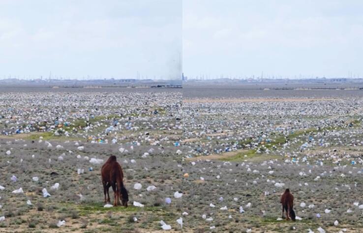 Заваленную пластиковыми отходами степь заснял на видео экоактивист в Мангистауской области