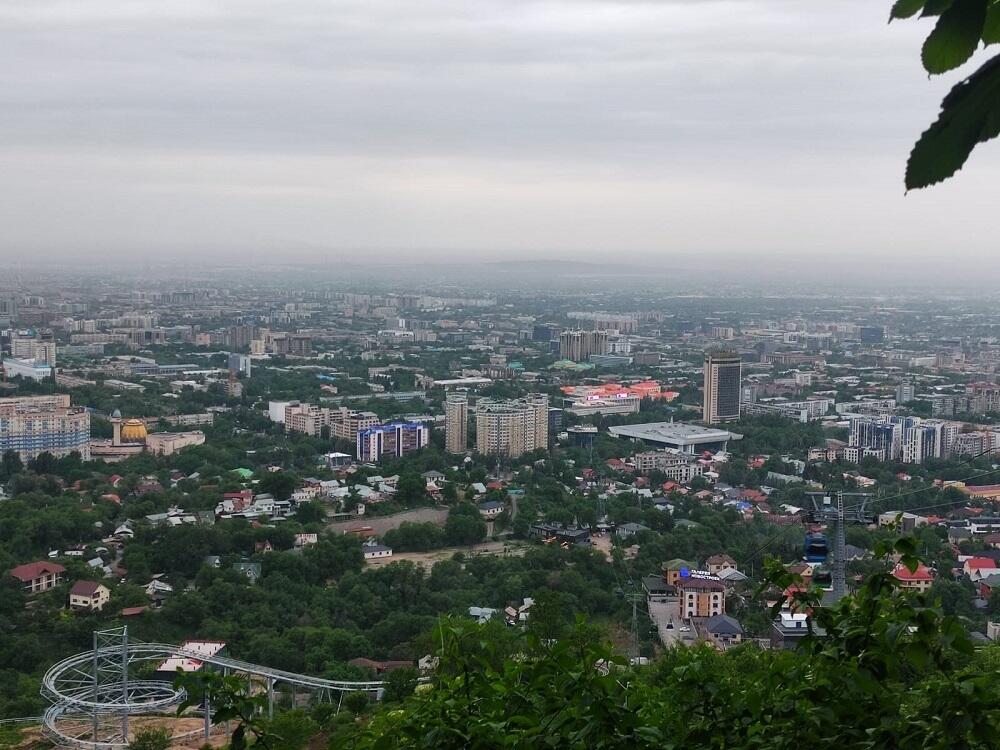 Алматы рискует потерять свой зеленый облик из-за инициативы по ограничению высоты деревьев 