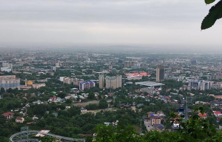 Алматы рискует потерять свой зеленый облик из-за инициативы по ограничению высоты деревьев 