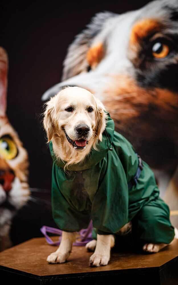 Алматыда PetFest 2026 үй жануарлары мен олардың иелеріне арналған ең ірі қалалық фестиваль өтті. Сурет: PetFest