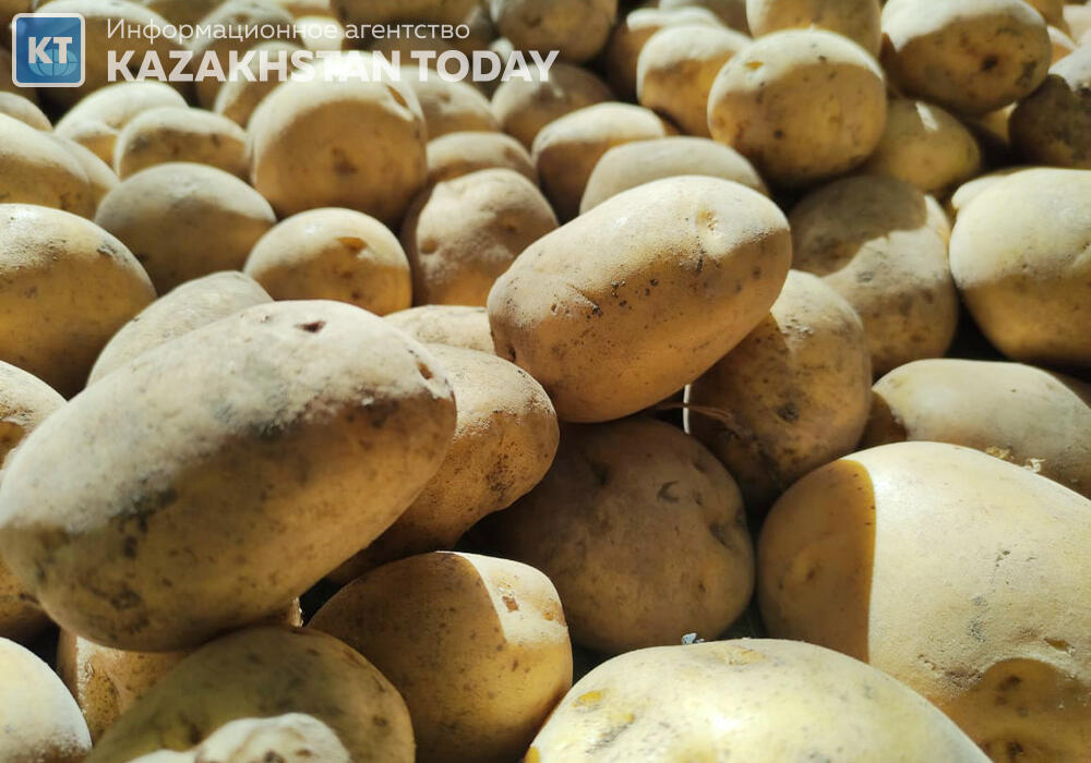 Картофель по завышенным ценам продавали на рынке в ЗКО