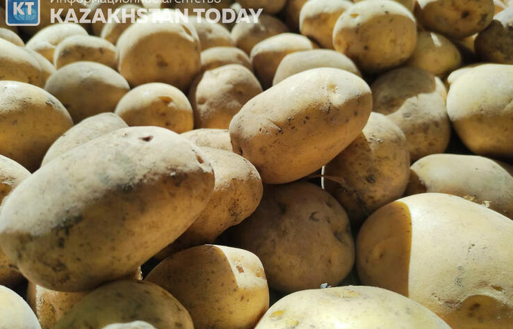 Картофель по завышенным ценам продавали на рынке в ЗКО