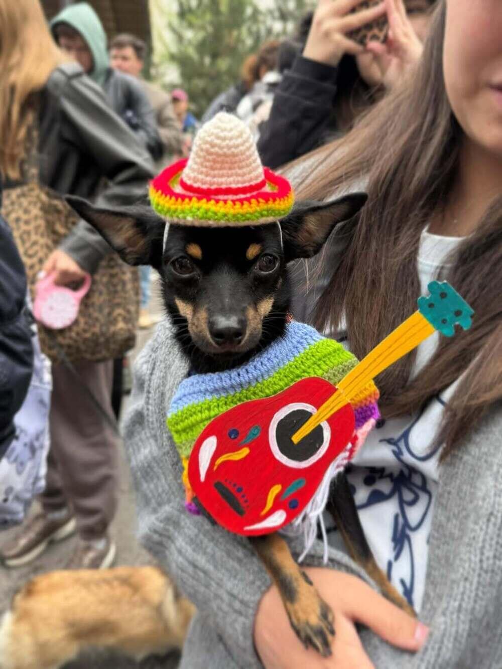 PetFest 2026, the largest city festival for pets and their owners, took place in Almaty. Images | instagram/paws.loops