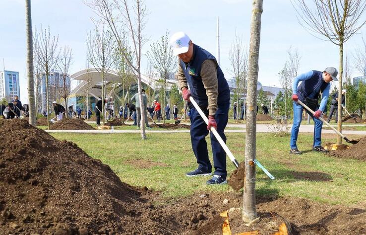 Үкімет Аппаратының қызметкерлері Президенттің "Таза Қазақстан" экологиялық бастамасы аясында сенбілікке қатысты