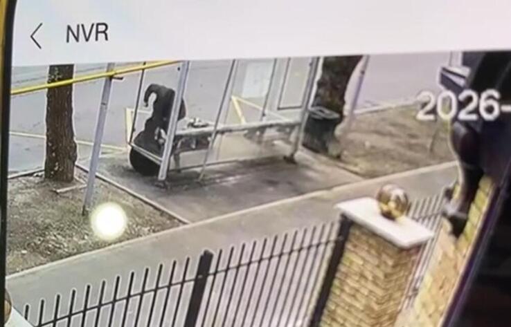 Избившего пенсионерку на остановке в Алматы арестовали 