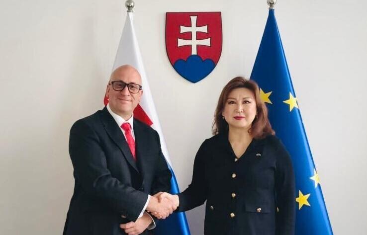 Kazakhstan and Slovakia Discuss Priority Areas for Transport and Logistics Cooperation