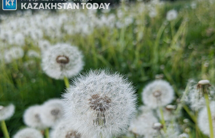 Kazakhstan to see weather with no precipitation in most parts on Thursday