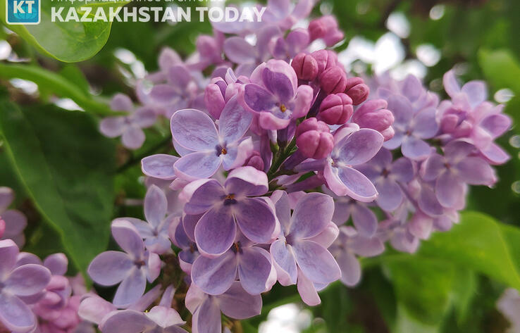 Kazakhstan weather forecast for May 2