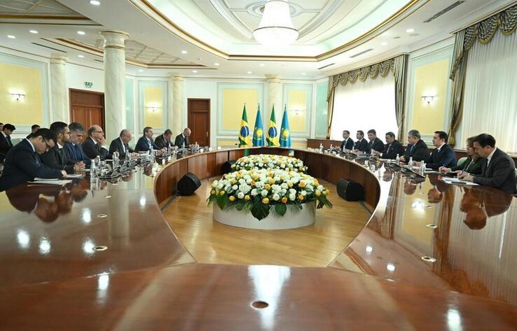 Kazakhstan and Brazil Strengthen Political Dialogue and Business Ties