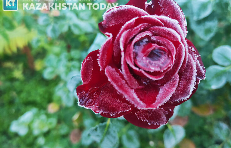 Ground frosts expected across 6 regions of Kazakhstan