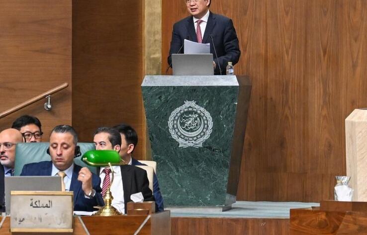 Global South Media and Think Tank Forum Chinese-Arab Partnership Conference opens in Cairo