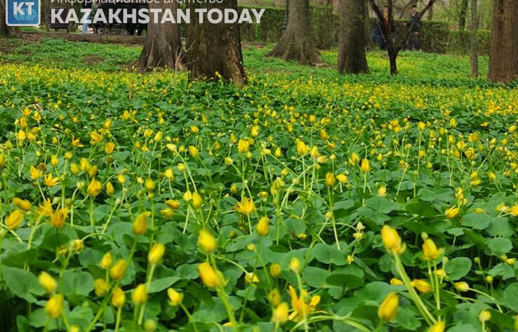 Kazakhstan weather forecast for May 17