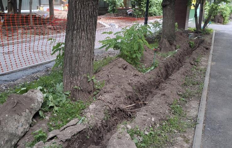Вандальное преобразование - алматинцы заявили о массовом уничтожении деревьев на улице Жарокова