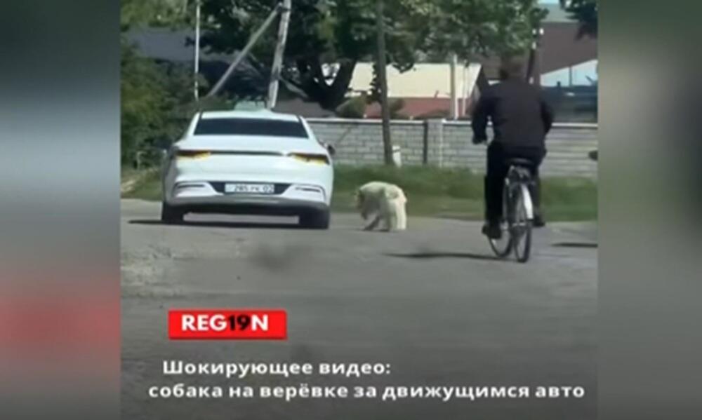 Живодер привязал собаку к машине и тащил ее по дороге в области Жетысу