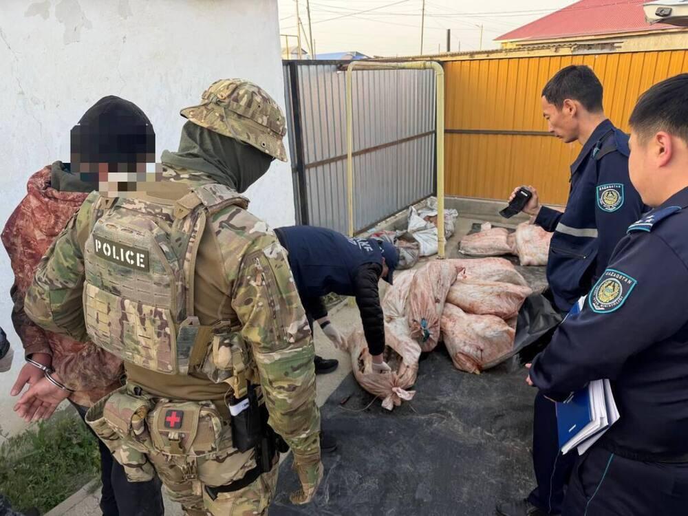 В Атырауской области из незаконного оборота изъяли свыше 900 кг осетра 