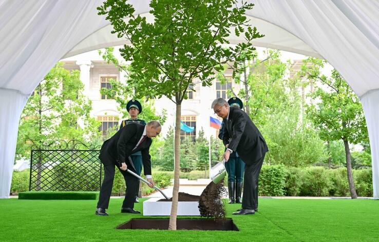 Tokayev and Putin plant oak tree on Kazakhstan-Russia Alley of Eternal Friendship