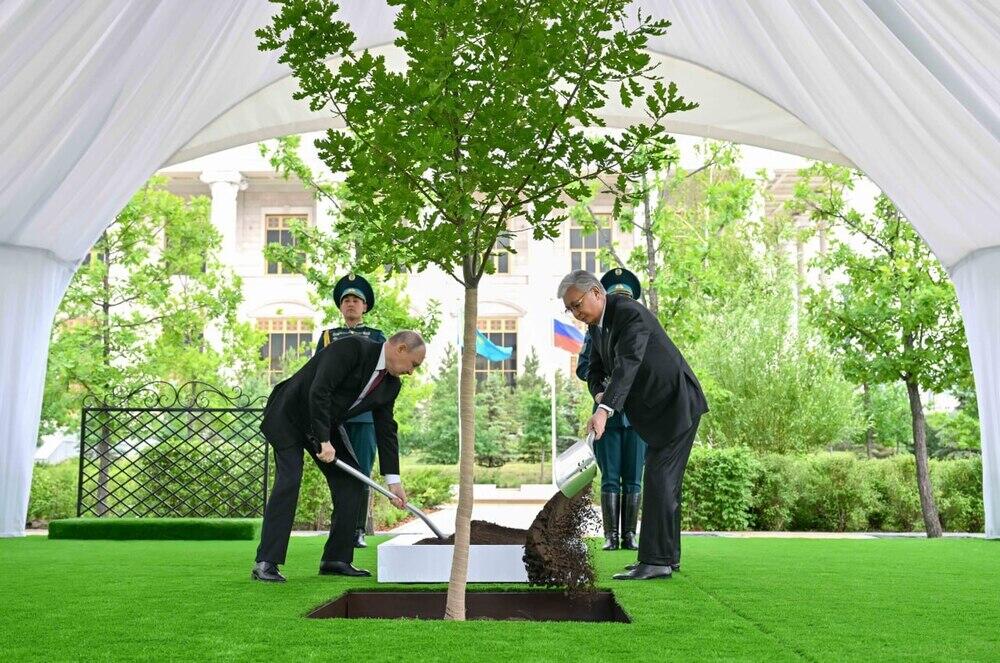 Tokayev and Putin plant oak tree on Kazakhstan-Russia Alley of Eternal Friendship