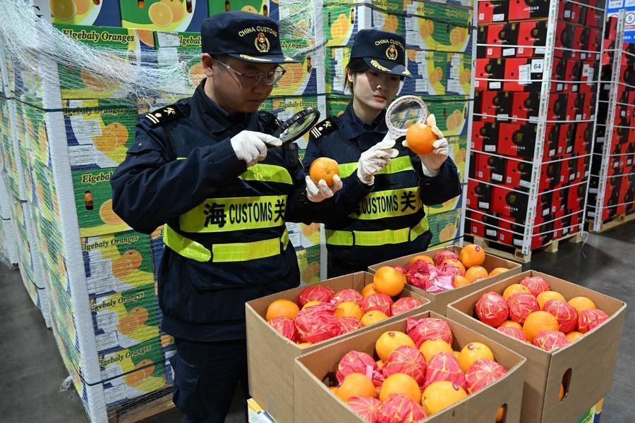 ИИ-технологии модернизируют пограничную биобезопасность Китая