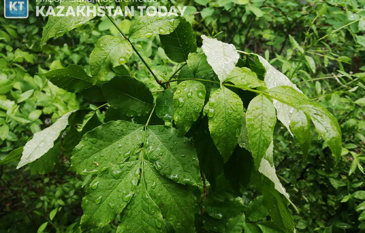 Rain and hail to hit Kazakhstan this weekend