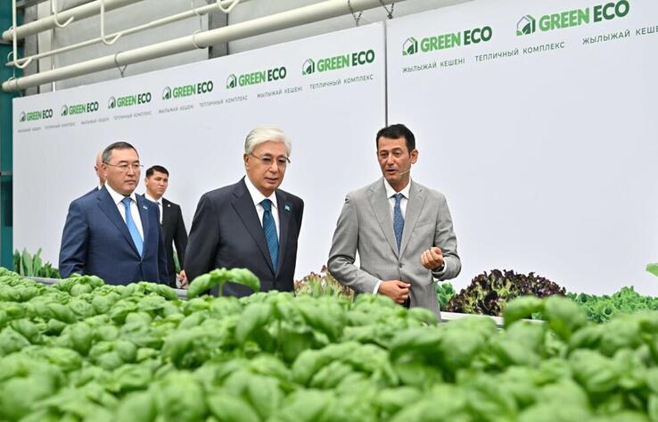 Мемлекет басшысы GREEN ЕСО жылыжай кешенімен танысты