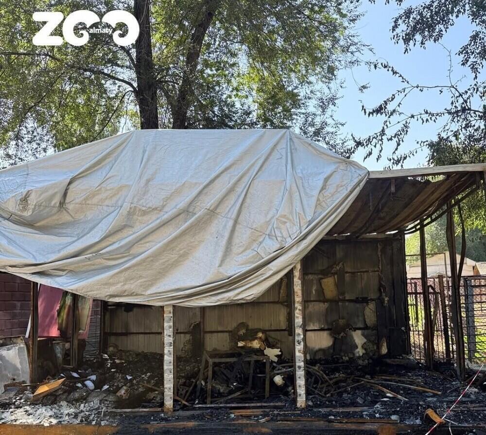 Fire Breaks Out on the Grounds of Almaty Zoo