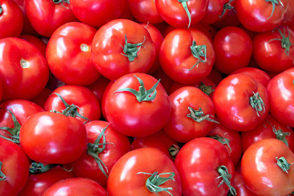 Kazakhstan to Ban Tomato Imports