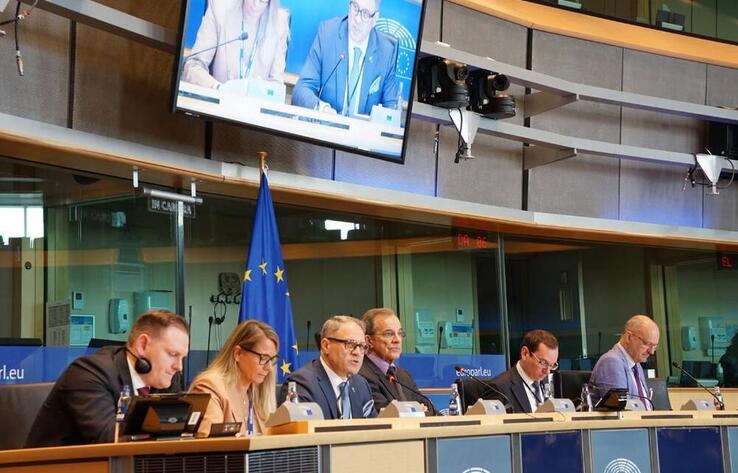 В Европарламенте поддержали политические реформы Казахстана