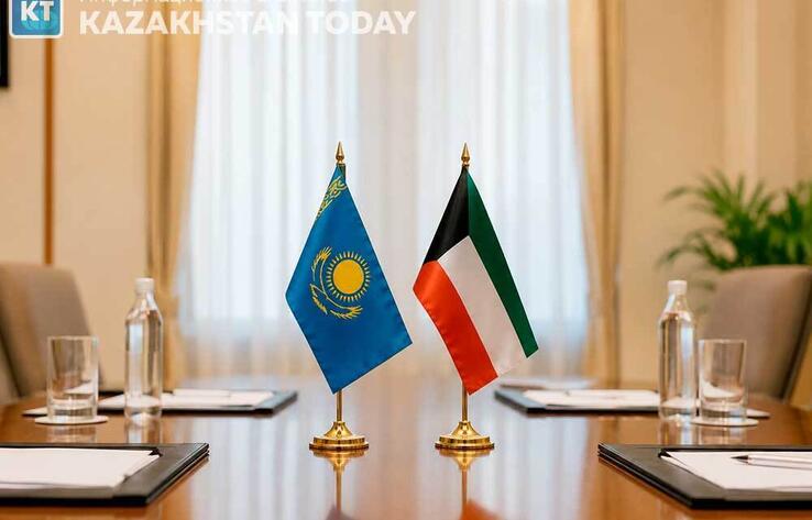 Kazakhstan’s Digital Transformation Experience Draws Kuwait’s Interest