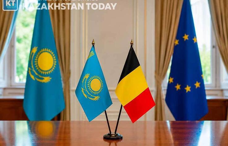 Astana and Brussels Discuss New Areas of Cooperation