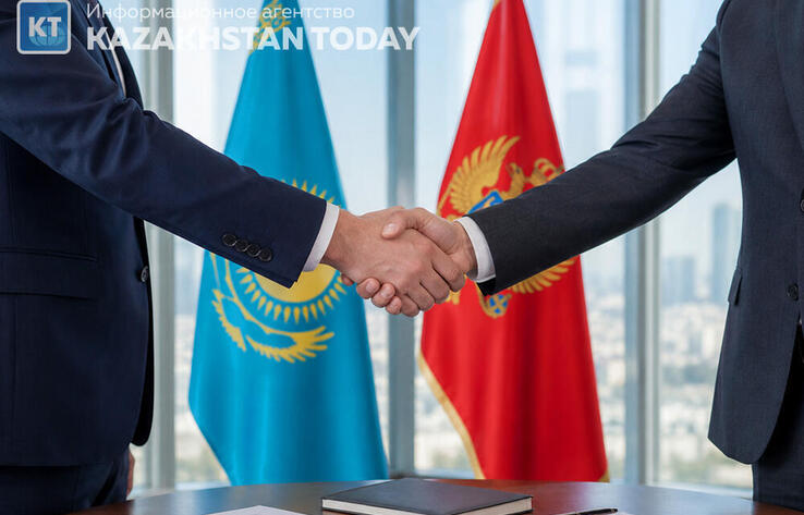 Қазақстан Черногория бизнесінің ел нарығында кеңеюін құптайды - Тоқаев