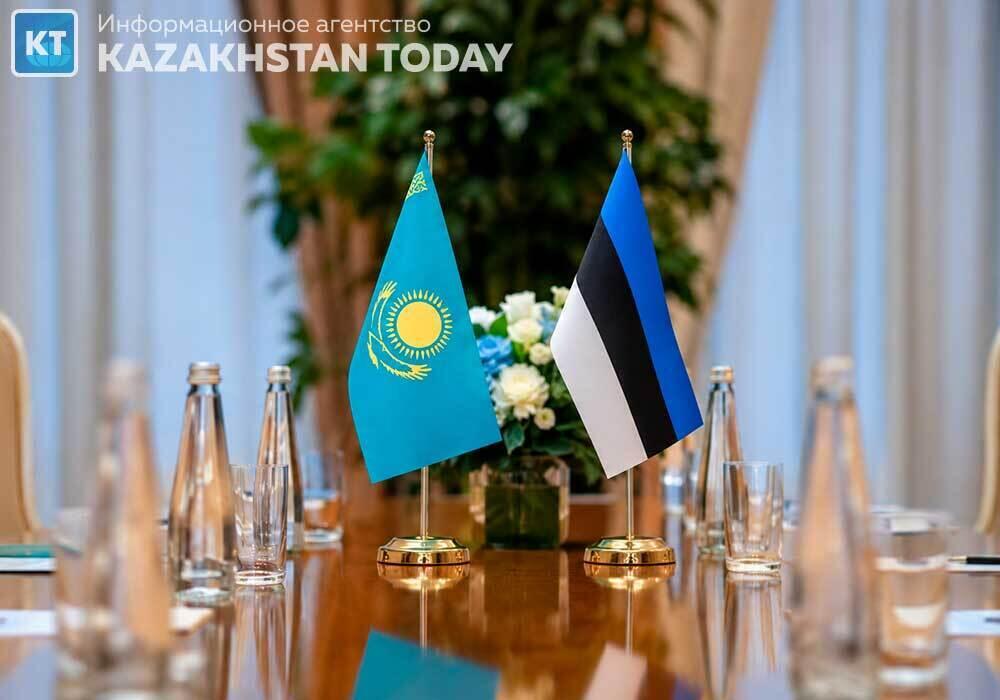 Estonian Lawmakers Noted Kazakhstan’s Progress in Implementing Institutional Reforms